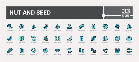 Nut And Seed colorful icon pack. Icons set with soybean, nuts, cocoa, coconut, coffee beans, nuts and seeds and more. Simple icon for mobile and web apps. Icon names are written in English.