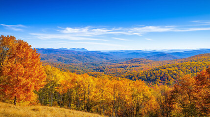 Fototapeta premium Wide panoramic view of a mountain range in autumn, with a vibrant tapestry of fall foliage and clear blue skies