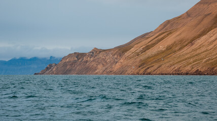 Explore the rugged coastline and tranquil waters of Svalbard in early morning light