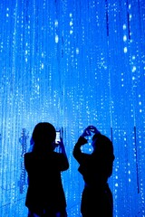 Immersive art exhibition