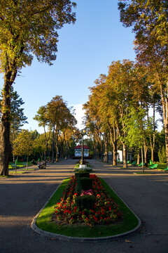 Copou Park, Vaslui City, Romania 