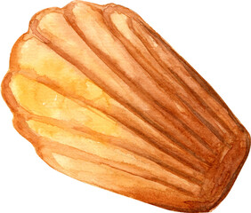 Madeleine French bakery pastry dessert. Hand drawn watercolor illustration isolated on a white background.