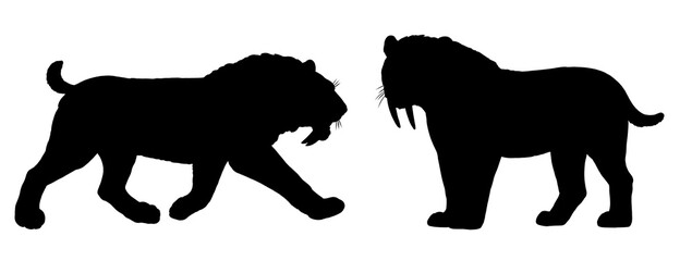 Saber tooth cat. Animals black silhouette drawing. Saber-toothed cat attack. Smilodon from ice age.	