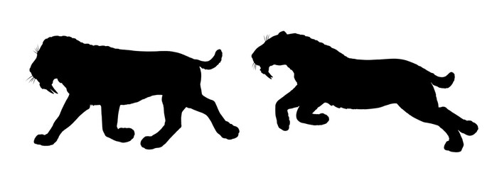 Saber tooth cat. Animals black silhouette drawing. Saber-toothed cat attack. Smilodon from ice age.	