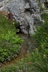 Fototapeta premium Serene creek in wild mountains