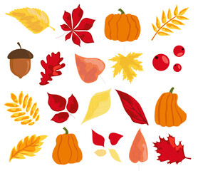 autumn yellow, red leaves, acorns, mountain ash, pumpkin. background for the decoration of autumn holidays, Thanksgiving day. November, October. vector, graphic image.