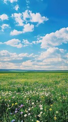 Vast Green Field Under Bright Blue Sky