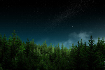Naklejka premium The sky is adorned with clouds and stars, while a beautiful fir tree stands beneath the shimmering night.