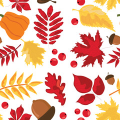 autumn yellow, red leaves, acorns, mountain ash, pumpkin. background for the decoration of autumn holidays, Thanksgiving day. November, October. vector, graphic image.