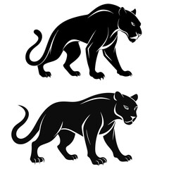 Wild animal black panther silhouette