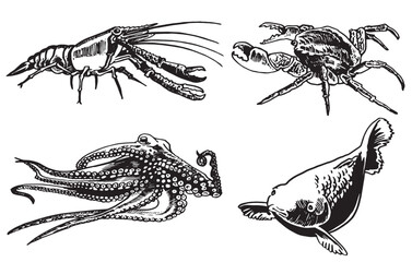 Marine life  set isolated on white background,vector illustration