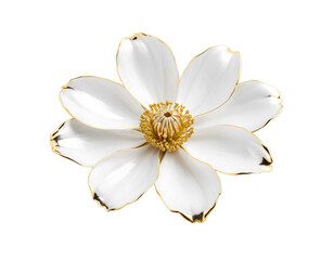 white flower isolated on transparent background	