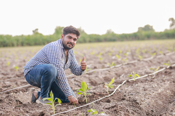 Fototapeta premium happy Indian farmer holding Banana tree