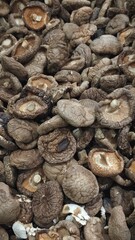 dried shiitake mushrooms showing natural texture and earthy tones