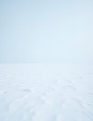 Obraz premium A blank snowy landscape with plenty of empty space for photography.