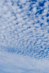 秋の青空と雲のコントラスト73