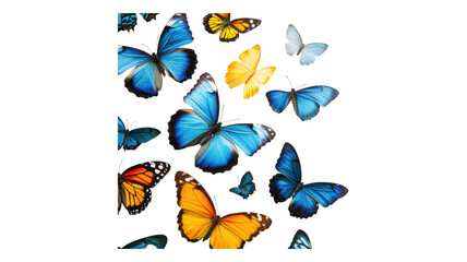 Colorful butterflies in various shades fluttering against a transparent background, showcasing nature's delicate beauty and diversity.