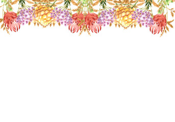 Wild flowers watercolor. Hand draw watercolor illustrations on white background. Wild flowers watercolor for design