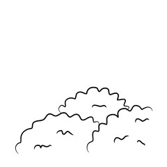 Outline bushes vector