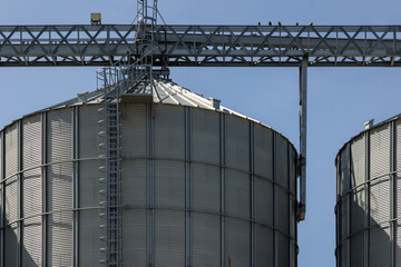 The tall and metallic steel grain silos are essential components of agricultural infrastructure under a clear blue sky