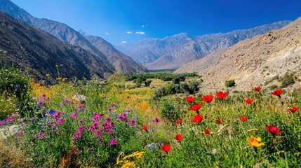 A vibrant field of wildflowers blooms in a valley surrounded by mountains.