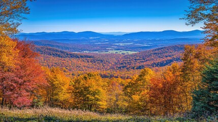 A panoramic view of a valley with colorful autumn foliage.