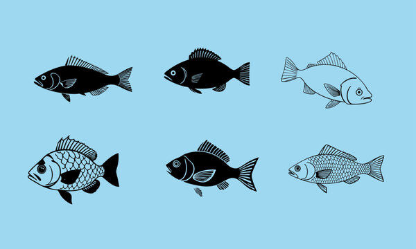 Vector Illustration of 6 fish