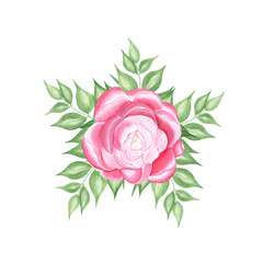 Flower watercolor. Hand draw watercolor illustrations on white background. Flower watercolor for design
