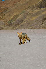 Postals from an amasing trip.