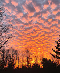 Obraz premium Blue sky background with clouds , beautiful white cloud and beautiful weather 