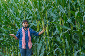 young Indian farmer standing in maize farm