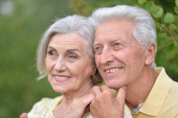 Beautiful elderly couple walking in the park