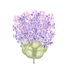 Lilac watercolor. Hand draw watercolor illustrations on white background. Lilac watercolor for design