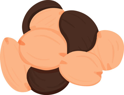 Jengkol illustration