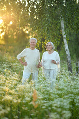 Beautiful elderly couple walking in the park