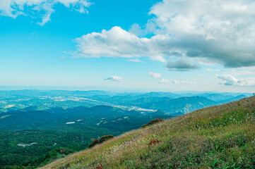 Fototapeta premium 栃木県 日光 霧降高原