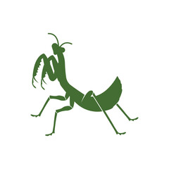 praying mantis icon design template