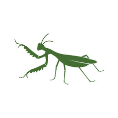 praying mantis icon design template