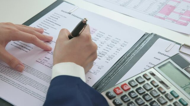 Internal Tax audit review checking ESG data risk in balance sheet prepare annual report GAAP IFRS IAS service. Income growth Cash flow budget work number control wealth for trader system merger study.