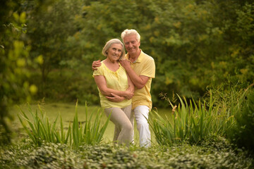 Fototapeta premium Beautiful elderly couple walking in the park