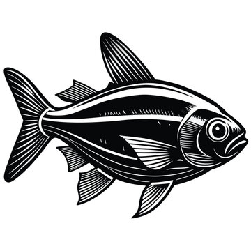 recommend clip art: Neon Tetra fish vector silhouette illustration Isolated white background.
