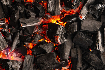 Hot coals with vibrant red and orange hues, emitting intense heat. Glowing pieces surrounded by dark ash, creating a rustic atmosphere