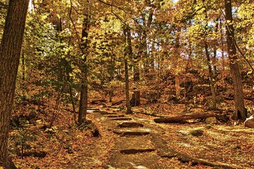 Autumn landscape featuring stone steps going uphill in a colorful forest at Devil&rsquo;s Lake State Park near Baraboo, Wisconsin.