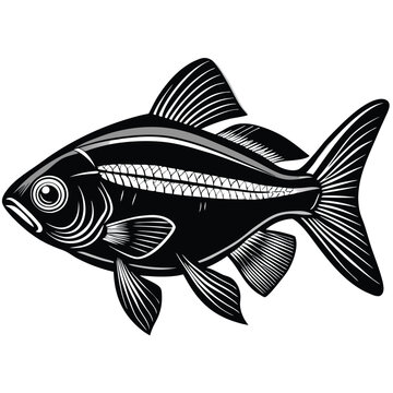 recommend clip art: Neon Tetra fish vector silhouette illustration Isolated white background.