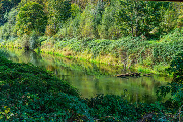 Serene Green River