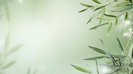 Fototapeta premium A serene, blurred background featuring green foliage, evoking a tranquil and refreshing natural ambiance.