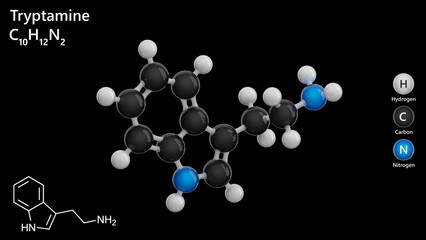 Molecule: Tryptamine. Alkaloid. Mood regulation. Molecular structure. Formula: C10H12N2. Chemical model: Ball and stick. Black background. 3D illustration.