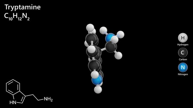 Tryptamine. Alkaloid. Mood regulation. Animated 3D model of a molecule. Molecular formula: C10H12N2. Chemical model: Ball and stick. Black background. 3D rendering. Seamless loop.