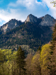 Trzy Korony peak in the Pieniny Mountains in Poland. Mountain View with Lush Forest and Blue Sky. Horizontal. The beautiful peak, known as Three Crowns. Slovakia-Poland border © AFilipczuk