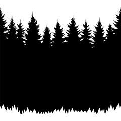Obraz premium Black silhouette of coniferous forest bordering clear sky